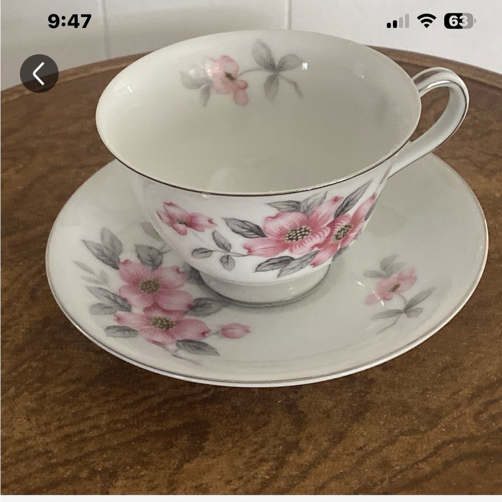 Floral Pink and Gray Teacup and Saucer Set